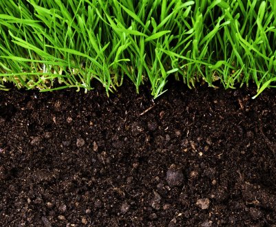 Все, що потрібно знати про склад і якість ґрунту на вашому ділянці