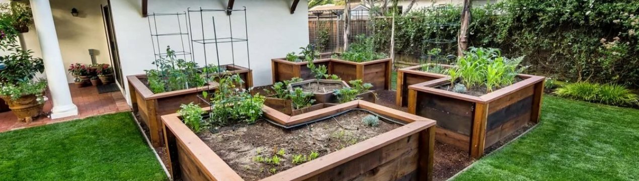 Грядка-лазанья – що це таке і як це зробити