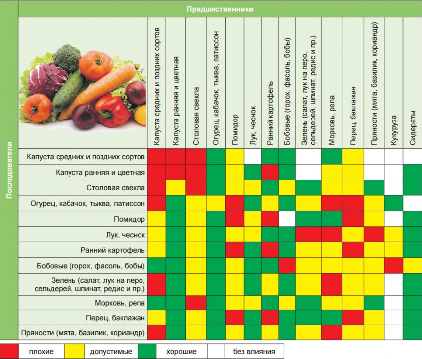 Таблиця сівозміни овочевих культур Таблиця сівозміни овочевих культур