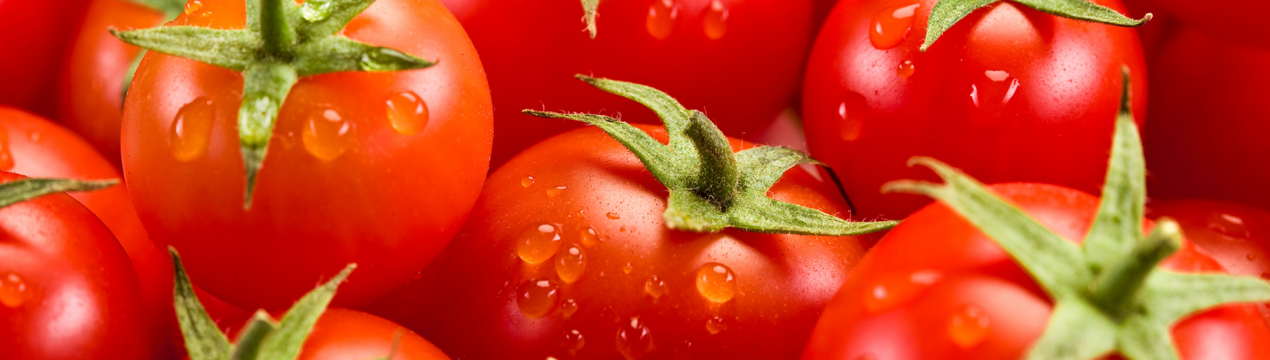 Як правильно збирати насіння томатів