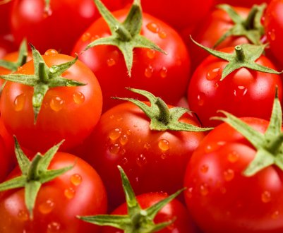 Як правильно збирати насіння томатів