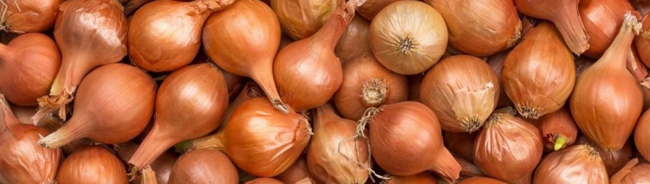 Падiння валенсiйських цiн на цибулю через коронавiрус