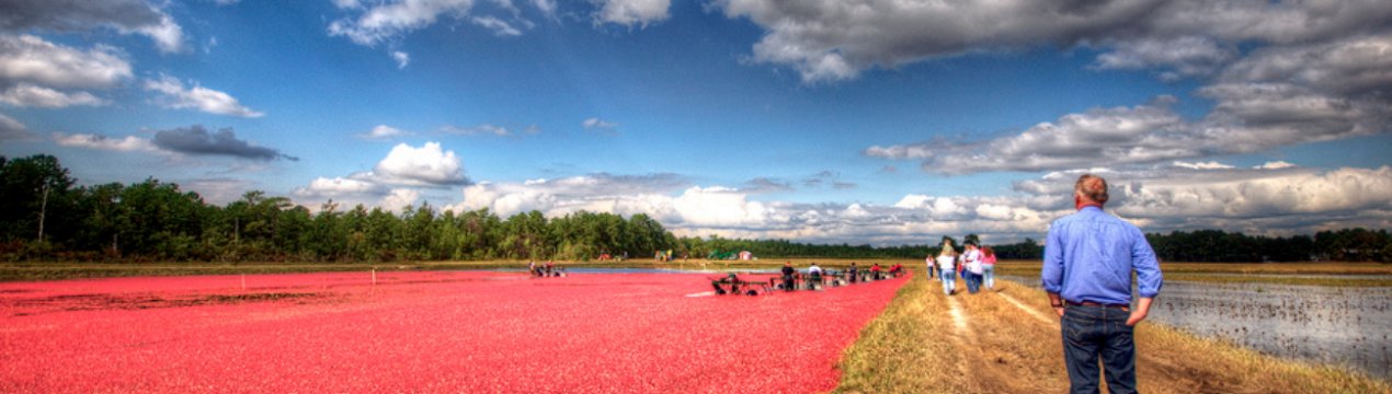 Ізоляційні потреби ускладнюють правила зайнятості за кордоном