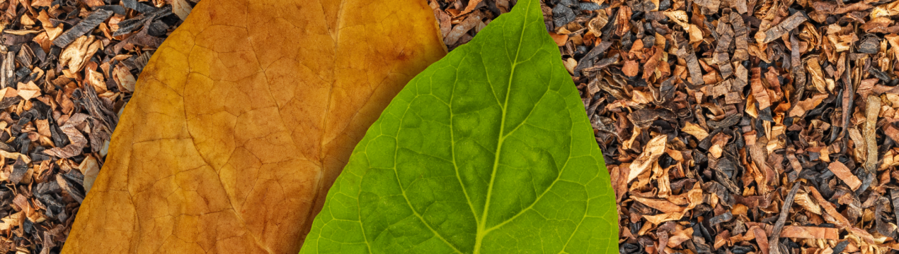 Національна асоціація виробників тютюнових виробів–2010 вимагає продовження строку внесення до тютюнового реєстру