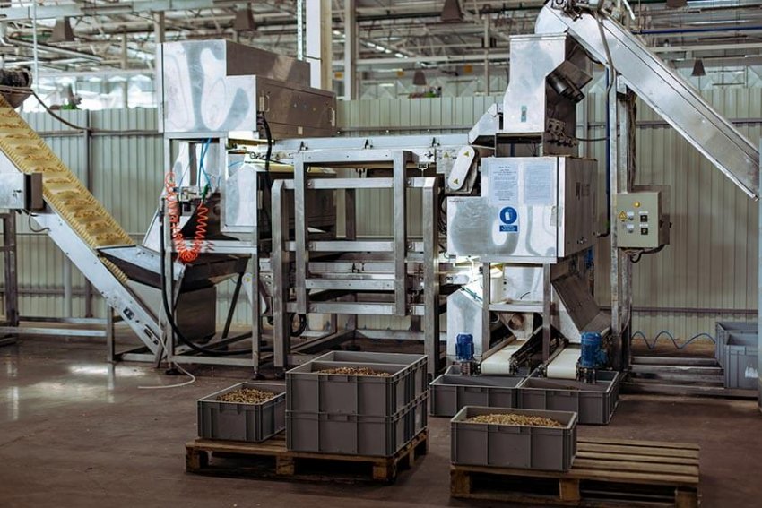 Сектор виробництва кешью може зазнати величезні збитки Сектор виробництва кешью може зазнати величезні збитки