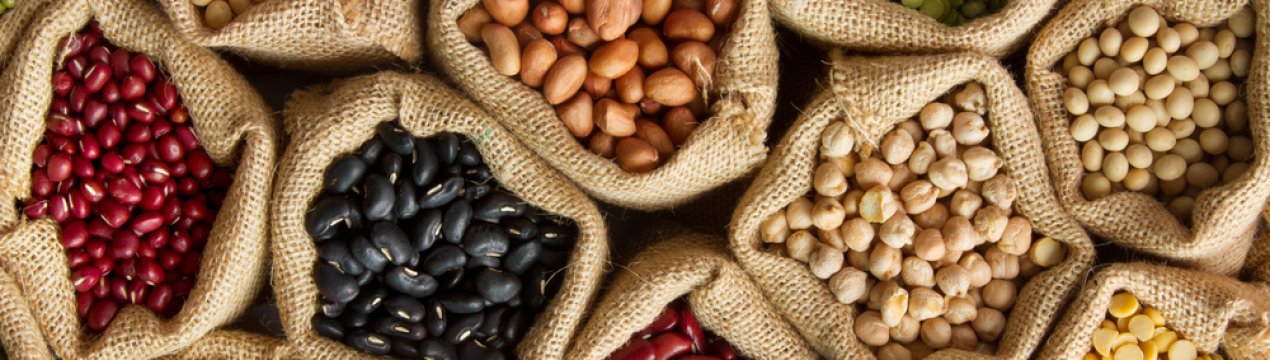 Посів бобових у Хорватії