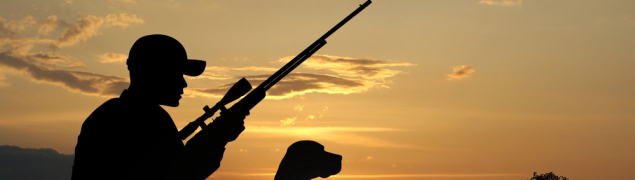 Охотницька федерація закликає знайти рішення для боротьби з шкодою сільському господарству