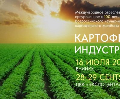КАРТОПЛЯНА ПРОМИСЛОВІСТЬ 2020