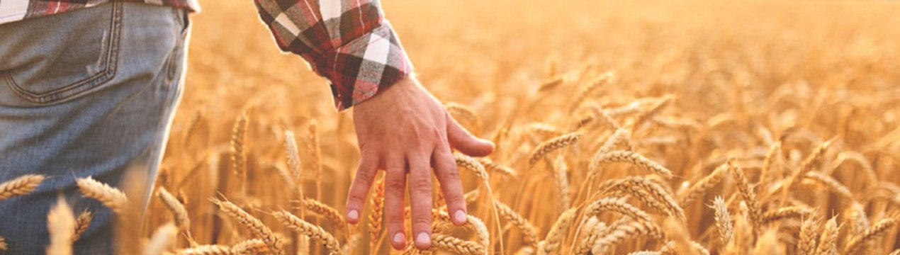 Більш високі аванси та менше фізичних перевірок на місці при прямих платежах 2020