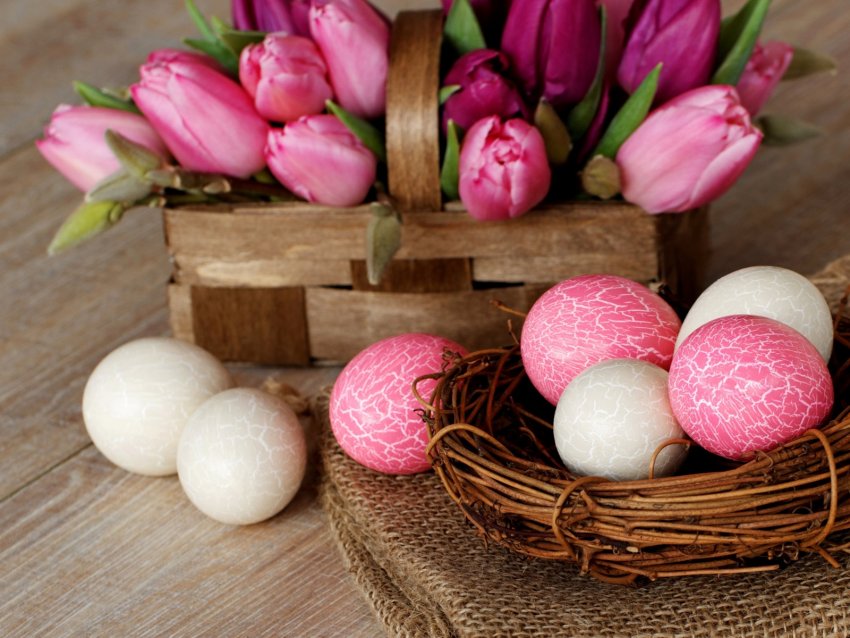 Команда Fermer.blog вітає з Великоднем! Команда Fermer.blog вітає з Великоднем!