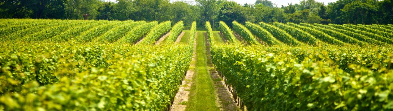 Інформація для агроекологічних виплат