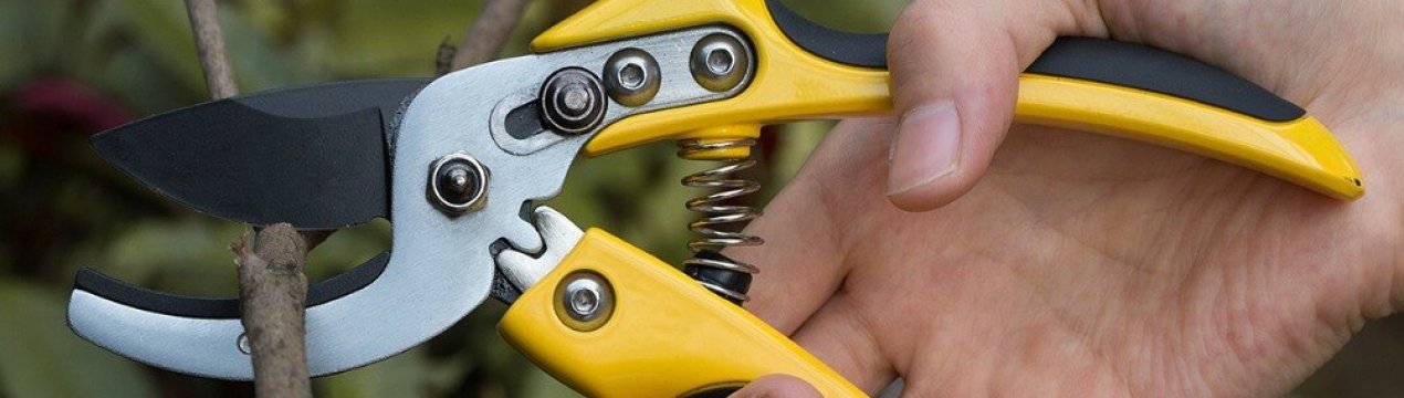 Як вибрати сучкоріз?