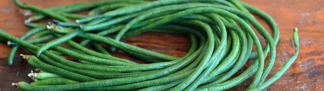 Китайська квасоля Віґна: секрети вирощування