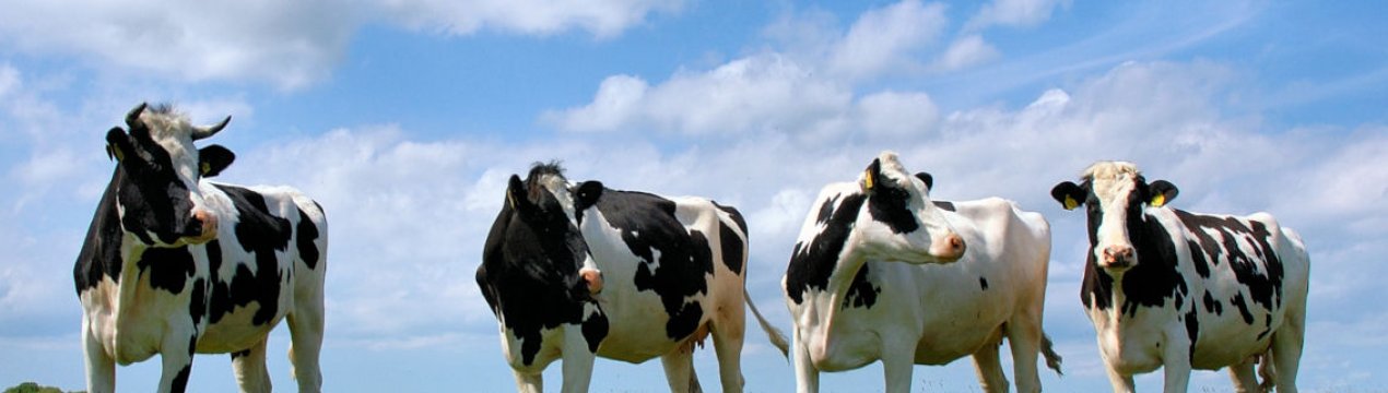 Метод боротьби з великодійною хворобою