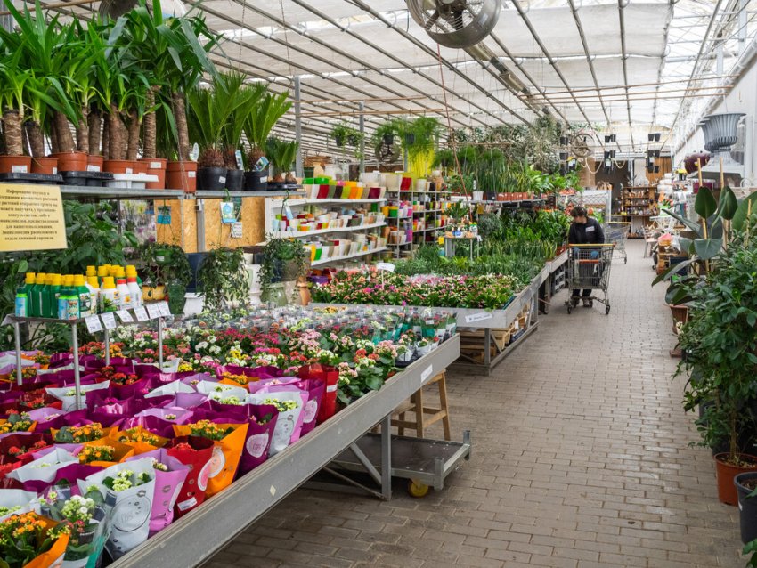 Садовий центр