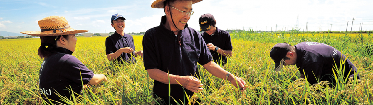 Сільськогосподарські кооперативи допомагають селянам Південної Кореї