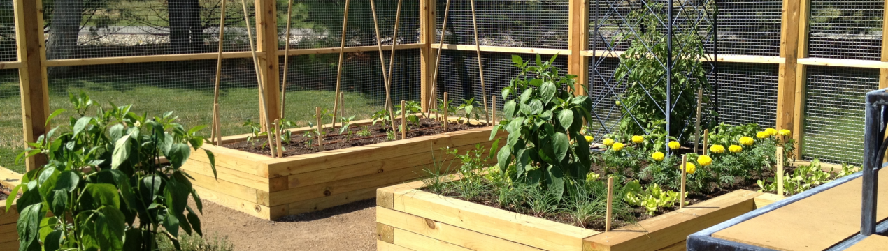 5 наймодніших ліжок в 2020 році