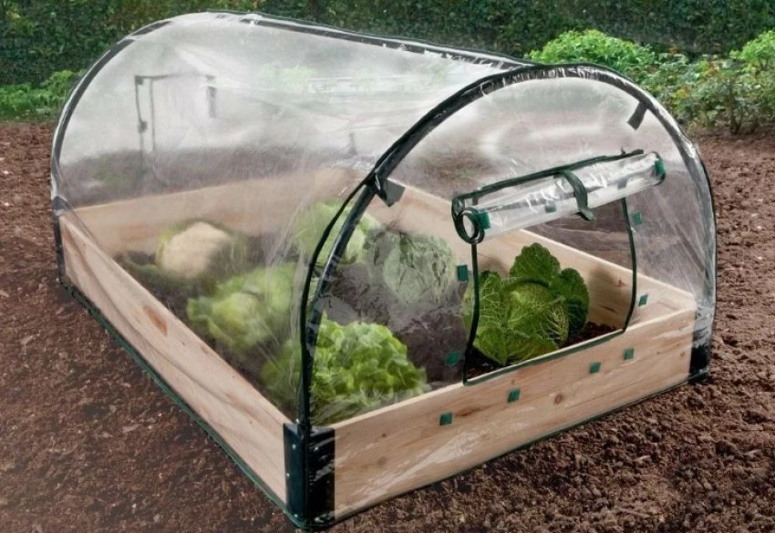 Мидлайнер грядки. Маленький парник. Огуречник грядка. Дорожки между грядками. Деревянные грядки.