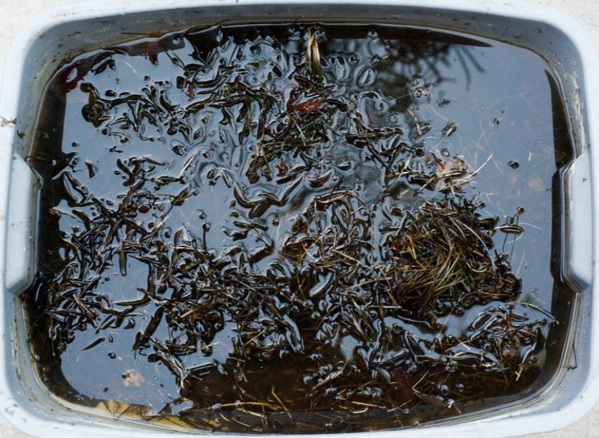 Многофункціональний засіб