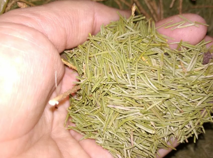 Добавка в грунт