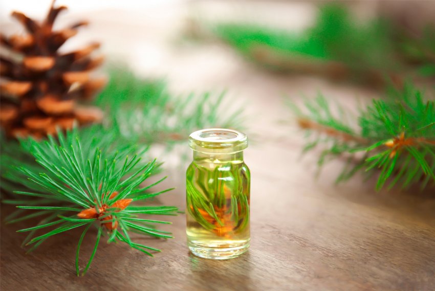 Нейтралізатор запаху