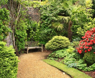 Сад з елементами дикої природи: лісові та полеві рослини в саду