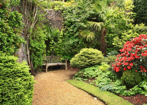 Сад с элементами дикой природы: лесные и полевые растения в саду