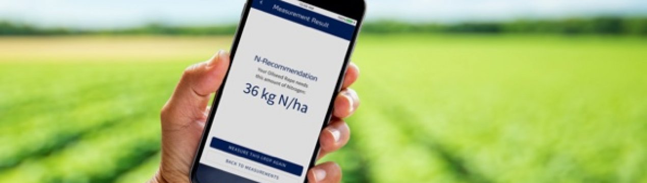 Вимоги до азоту: як перетворити ваш смартфон в N-тестер