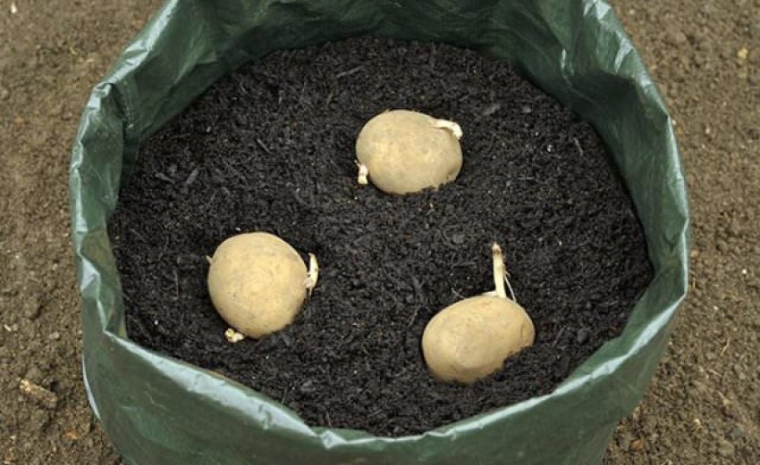 Третій спосіб