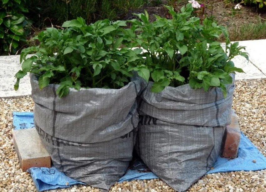 Перший спосіб