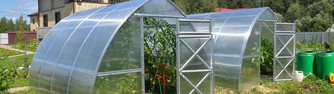 Які теплиці краще - арочні чи конькові?