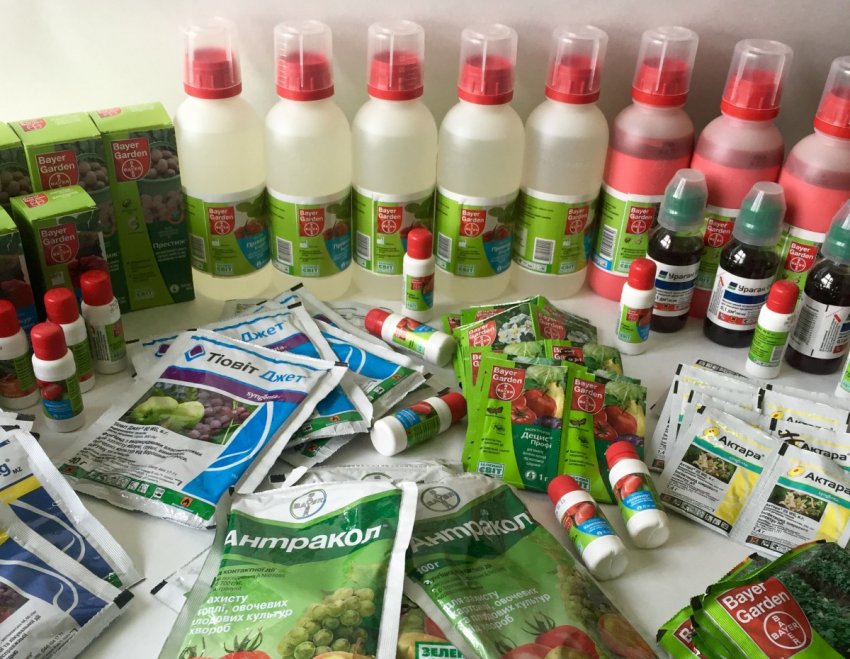 Покупка пестицидів Покупка пестицидів