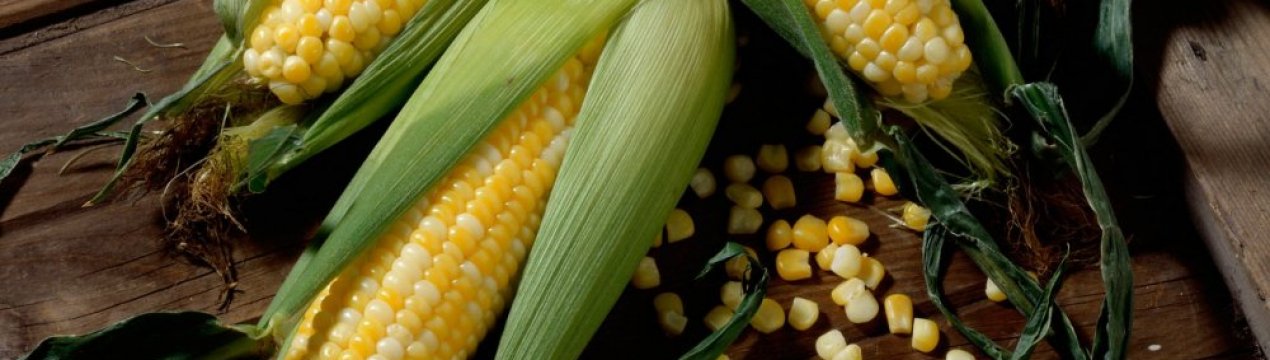 ЕК запускає механізм ввізних мит на кукурудзу, ріж та сорго