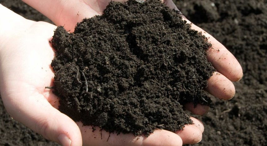 Легка плідна ґрунт Легка плідна ґрунт