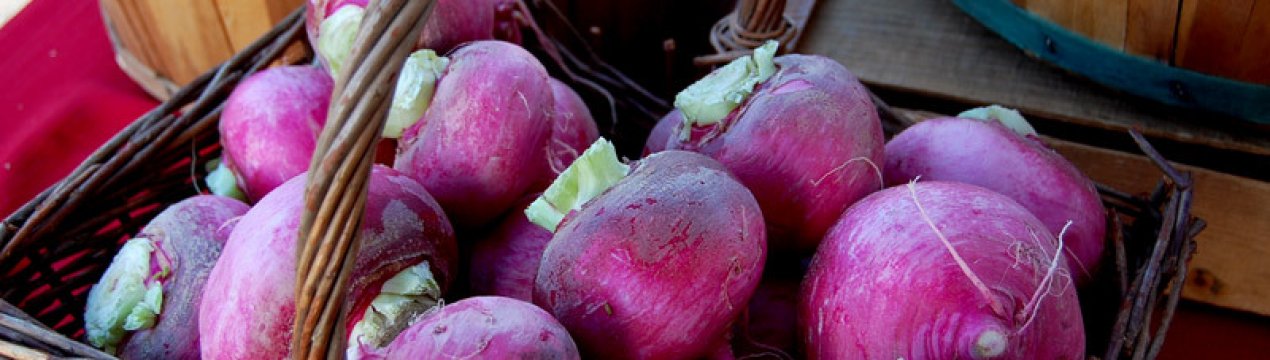 Стара добра буряк: вибираємо імпортні та вітчизняні сорти