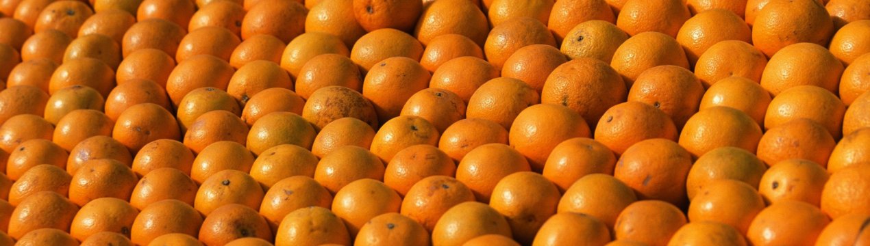 Експорт врожаю апельсинів в Бразилії в 2019/20 році збільшився на 18%