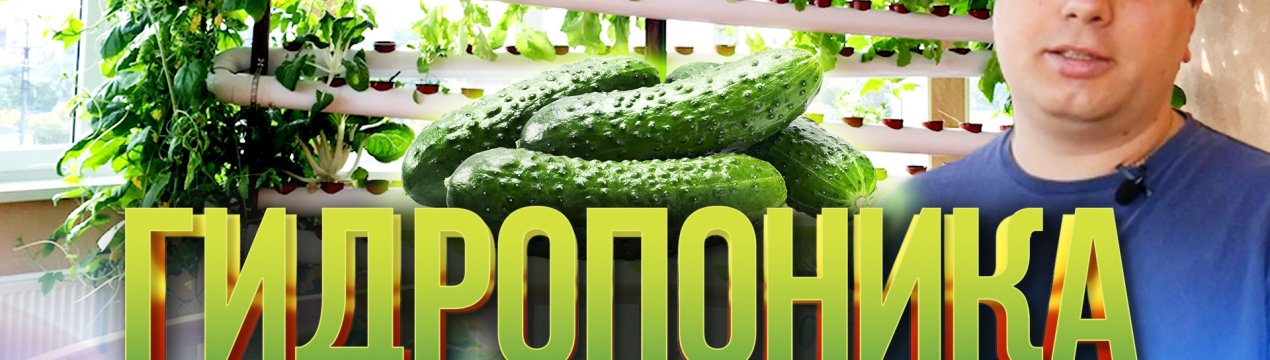 Випуск №2: Гідропоніка в квартирі своїми руками