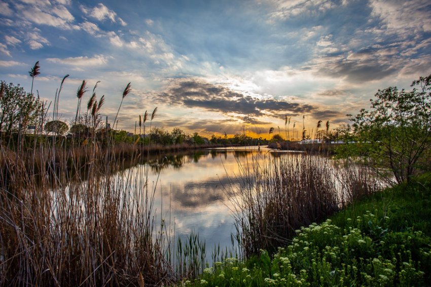 Парк Кьореш-Марош Парк Кьореш-Марош