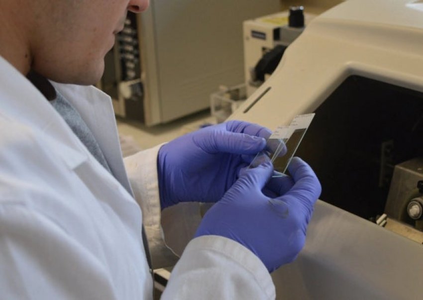 Віруси рослин можуть використовуватися для виробництва вакцин Віруси рослин можуть використовуватися для виробництва вакцин