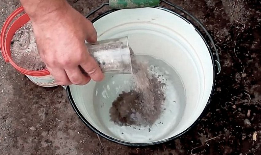 Деревна зола Деревна зола