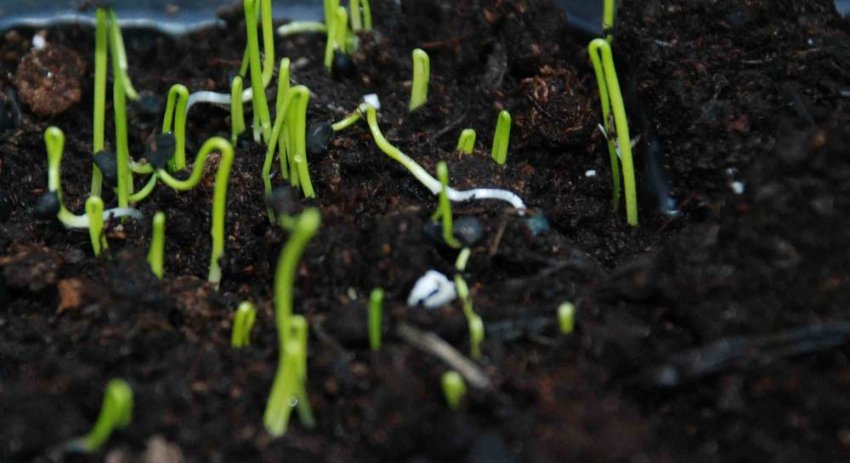 Правильний час Правильний час