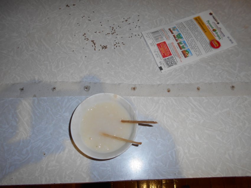 Посадка моркви за допомогою туалетного паперу