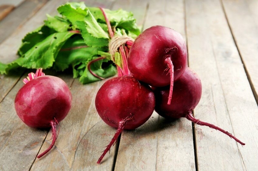 Буряк Бордо