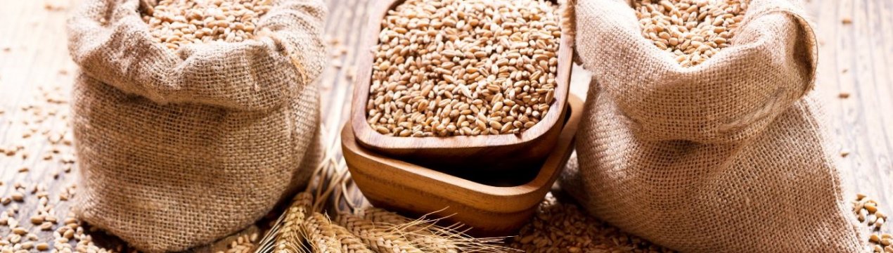 Заготовка пшениці знизиться на 15%