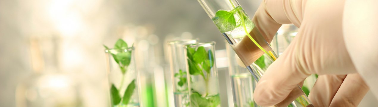 Учені знайшли ген, який може зробити рослини більш стійкими