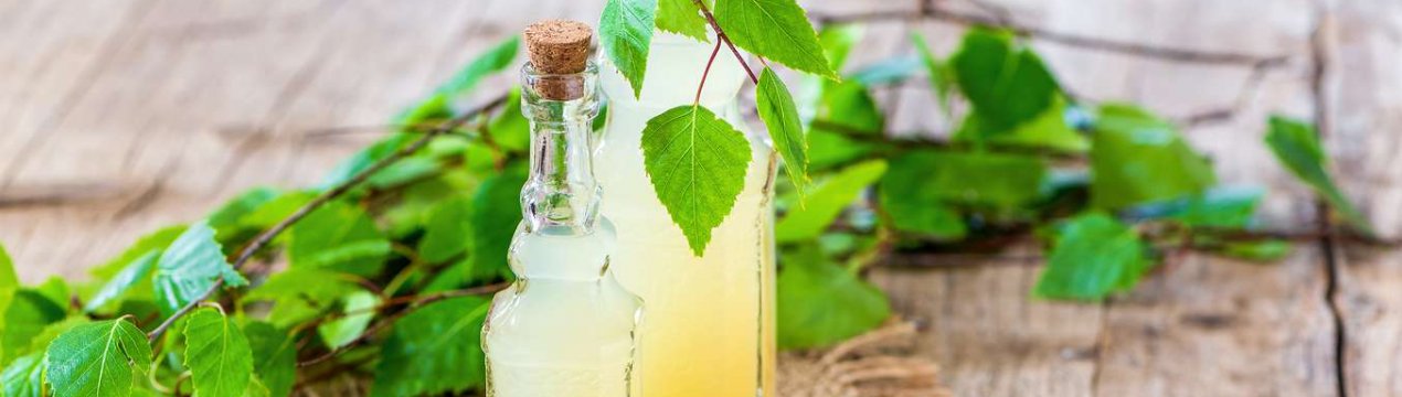 4 найкращі рецепти напоїв із березового соку