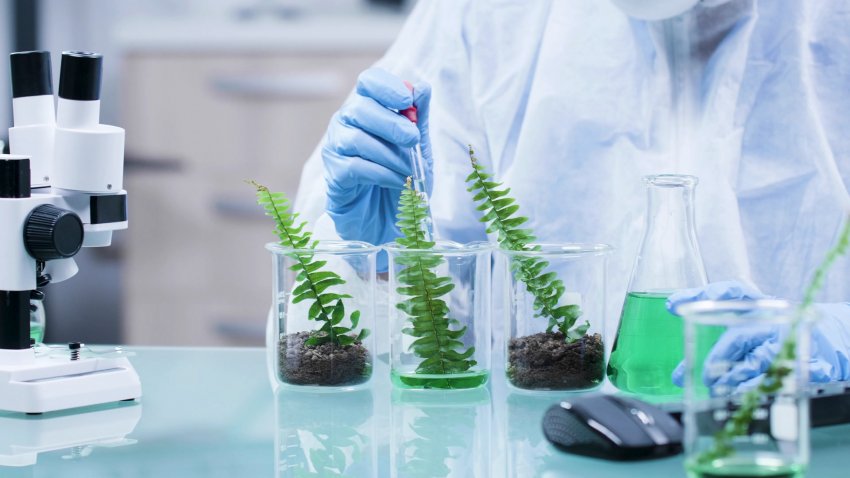 Біостимулятори Біостимулятори