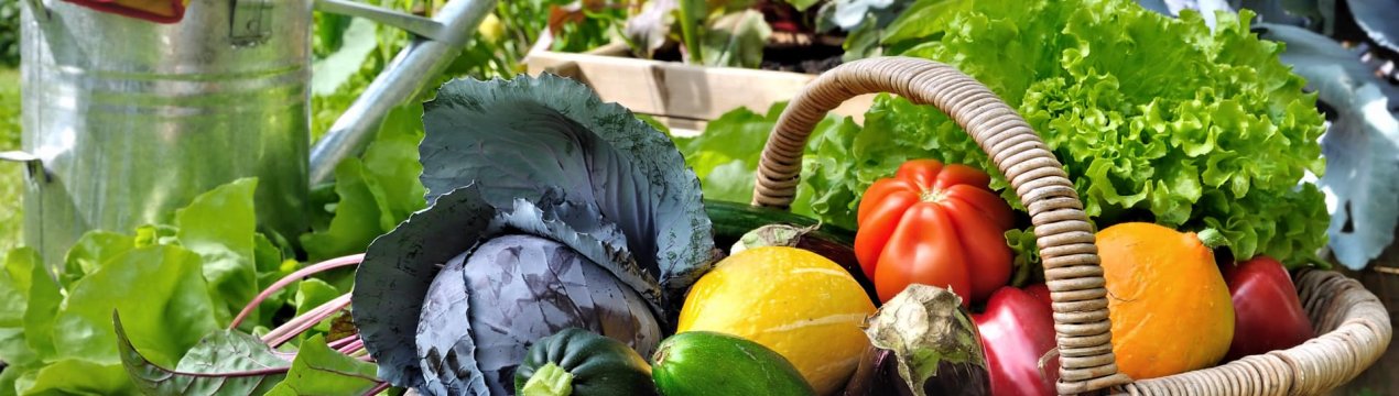 Що з чим росте? Сумісність рослин на грядці