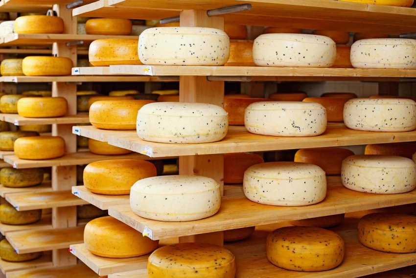 Допомога для приватного зберігання сиру