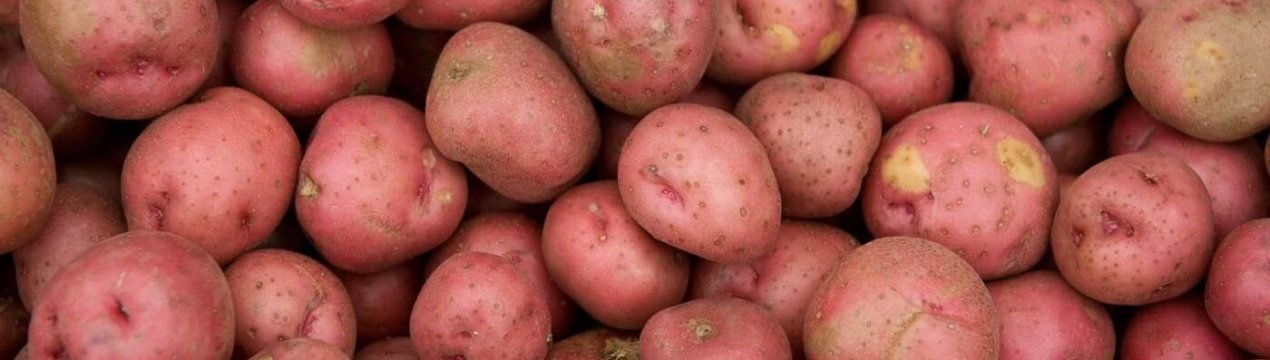 Проблема зайвого червоного картоплі в США через пандемію